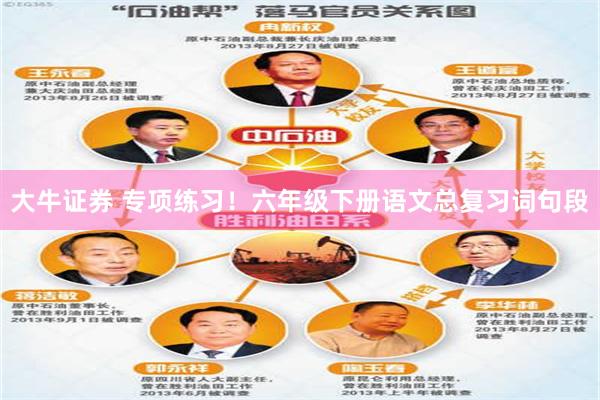 大牛证券 专项练习！六年级下册语文总复习词句段