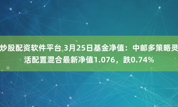 炒股配资软件平台 3月25日基金净值：中邮多策略灵活配置混合最新净值1.076，跌0.74%
