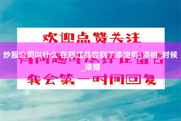炒股公司叫什么 在怒江品尝到了漆油鸡_漆树_时候_漆蜡