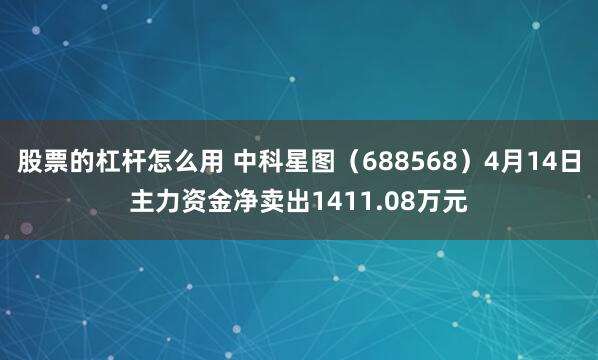 股票的杠杆怎么用 中科星图（688568）4月14日主力资金净卖出1411.08万元
