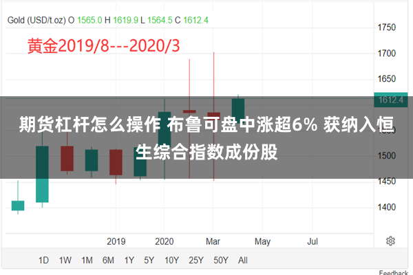 期货杠杆怎么操作 布鲁可盘中涨超6% 获纳入恒生综合指数成份股