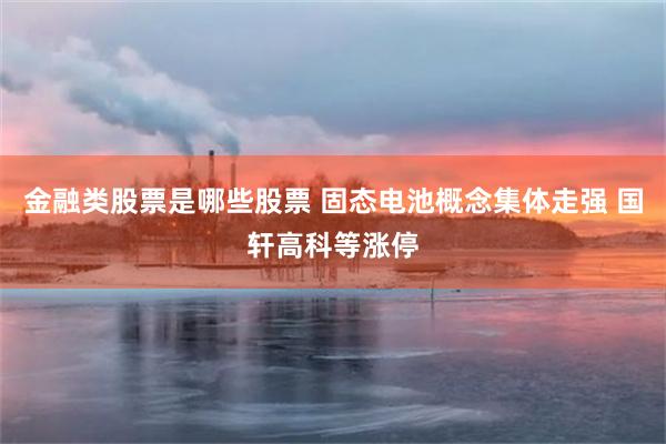 金融类股票是哪些股票 固态电池概念集体走强 国轩高科等涨停