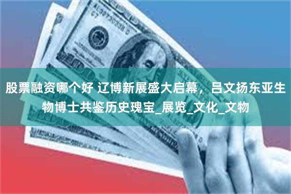 股票融资哪个好 辽博新展盛大启幕，吕文扬东亚生物博士共鉴历史瑰宝_展览_文化_文物