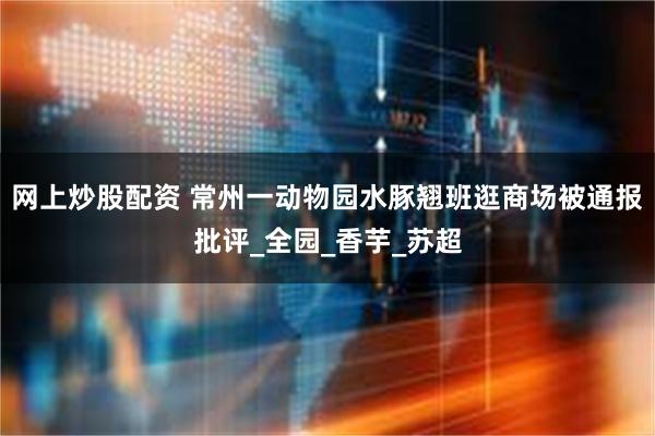 网上炒股配资 常州一动物园水豚翘班逛商场被通报批评_全园_香芋_苏超