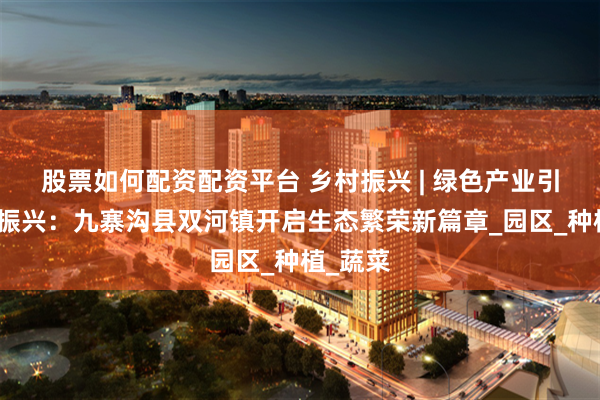 股票如何配资配资平台 乡村振兴 | 绿色产业引领乡村振兴：九寨沟县双河镇开启生态繁荣新篇章_园区_种植_蔬菜