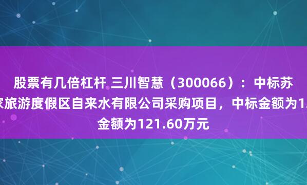 股票有几倍杠杆 三川智慧（300066）：中标苏州太湖国家旅游度假区自来水有限公司采购项目，中标金额为121.60万元