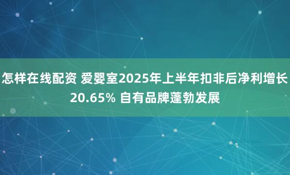 怎样在线配资 爱婴室2025年上半年扣非后净利增长20.65% 自有品牌蓬勃发展