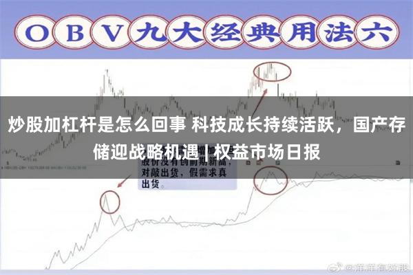 炒股加杠杆是怎么回事 科技成长持续活跃，国产存储迎战略机遇 | 权益市场日报